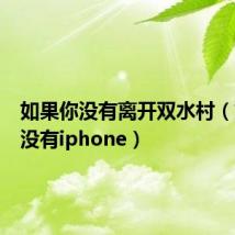 如果你没有离开双水村(如果你没有iphone)