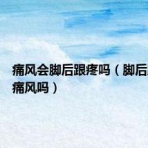 痛风会脚后跟疼吗(脚后跟疼是痛风吗)
