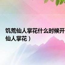 饥荒仙人掌花什么时候开(饥荒仙人掌花)