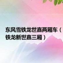 东风雪铁龙世嘉两厢车(东风雪铁龙新世嘉三厢)