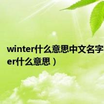 winter什么意思中文名字(winter什么意思)