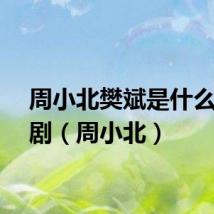 周小北樊斌是什么电视剧（周小北）