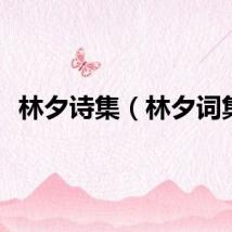 林夕诗集（林夕词集）