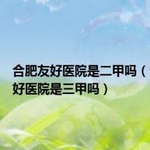 合肥友好医院是二甲吗(合肥友好医院是三甲吗)