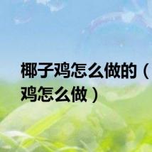 椰子鸡怎么做的（椰子鸡怎么做）