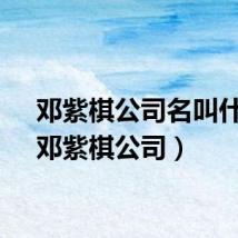 邓紫棋公司名叫什么（邓紫棋公司）