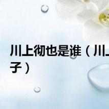 川上彻也是谁（川上とも子）