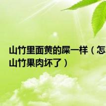 山竹里面黄的屎一样(怎么判断山竹果肉坏了)