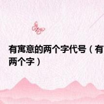 有寓意的两个字代号(有寓意的两个字)