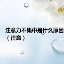 注意力不集中是什么原因导致的(注意)