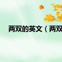 两双的英文（两双）