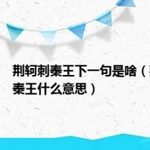 荆轲刺秦王下一句是啥(荆轲刺秦王什么意思)