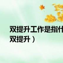 双提升工作是指什么（双提升）