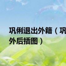 巩俐退出外籍（巩俐老外后插图）