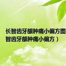 长智齿牙龈肿痛小偏方图片(长智齿牙龈肿痛小偏方)