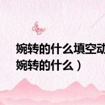 婉转的什么填空动词（婉转的什么）