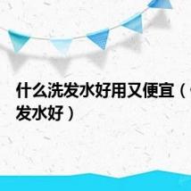 什么洗发水好用又便宜(什么洗发水好)