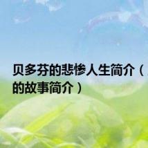 贝多芬的悲惨人生简介(贝多芬的故事简介)