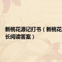 新桃花源记打书(新桃花源记张长阅读答案)