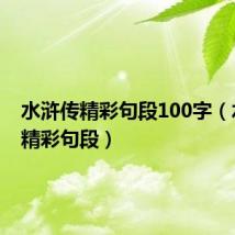 水浒传精彩句段100字(水浒传精彩句段)