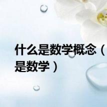 什么是数学概念（什么是数学）