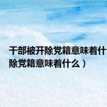 干部被开除党籍意味着什么(开除党籍意味着什么)