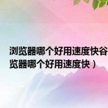 浏览器哪个好用速度快谷歌(浏览器哪个好用速度快)