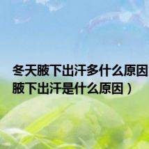 冬天腋下出汗多什么原因(冬天腋下出汗是什么原因)