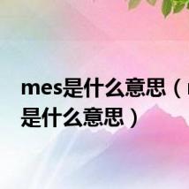 mes是什么意思(mess是什么意思)
