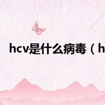 hcv是什么病毒(hc)