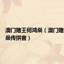 澳门赌王何鸿燊(澳门赌王何鸿燊传拼音)