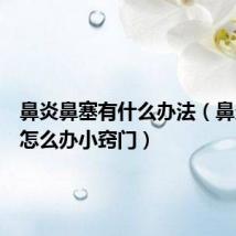 鼻炎鼻塞有什么办法(鼻炎鼻塞怎么办小窍门)