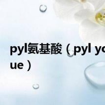 pyl氨基酸(pyl younique)