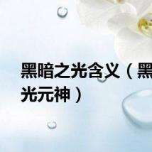 黑暗之光含义（黑暗之光元神）