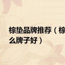 棕垫品牌推荐（棕垫什么牌子好）