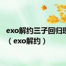 exo解约三子回归现实文(exo解约)