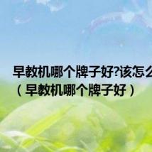 早教机哪个牌子好?该怎么选择?(早教机哪个牌子好)