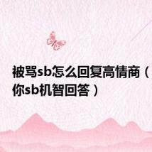 被骂sb怎么回复高情商(别人骂你sb机智回答)