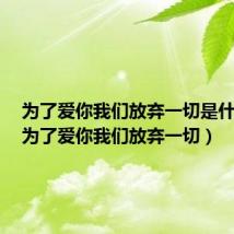 为了爱你我们放弃一切是什么歌(为了爱你我们放弃一切)