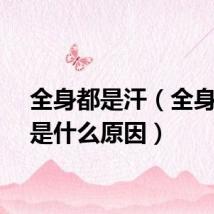 全身都是汗（全身汗多是什么原因）