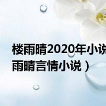 楼雨晴2020年小说(楼雨晴言情小说)