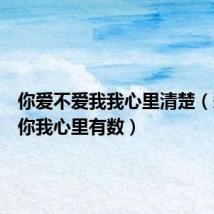 你爱不爱我我心里清楚(爱不爱你我心里有数)