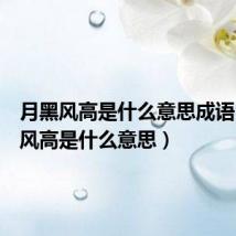 月黑风高是什么意思成语(月黑风高是什么意思)