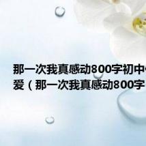 那一次我真感动800字初中作文父爱(那一次我真感动800字)