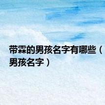 带霖的男孩名字有哪些(带霖的男孩名字)
