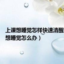 上课想睡觉怎样快速清醒(上课想睡觉怎么办)