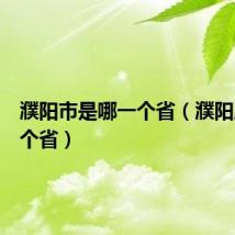 濮阳市是哪一个省（濮阳属于哪个省）