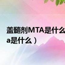 盖髓剂MTA是什么(mta是什么)
