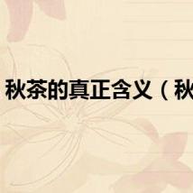 秋茶的真正含义（秋茶）