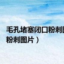 毛孔堵塞闭口粉刺图片（粉刺图片）